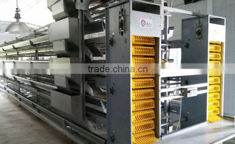 steel structure chicken house