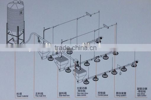 Xinri design automatic poultry farming equmipment for sale