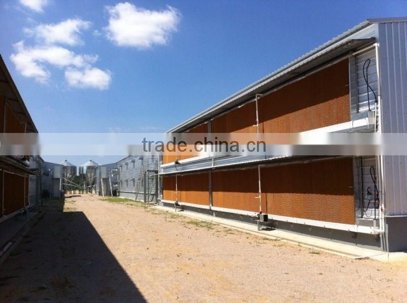 steel structure chicken house