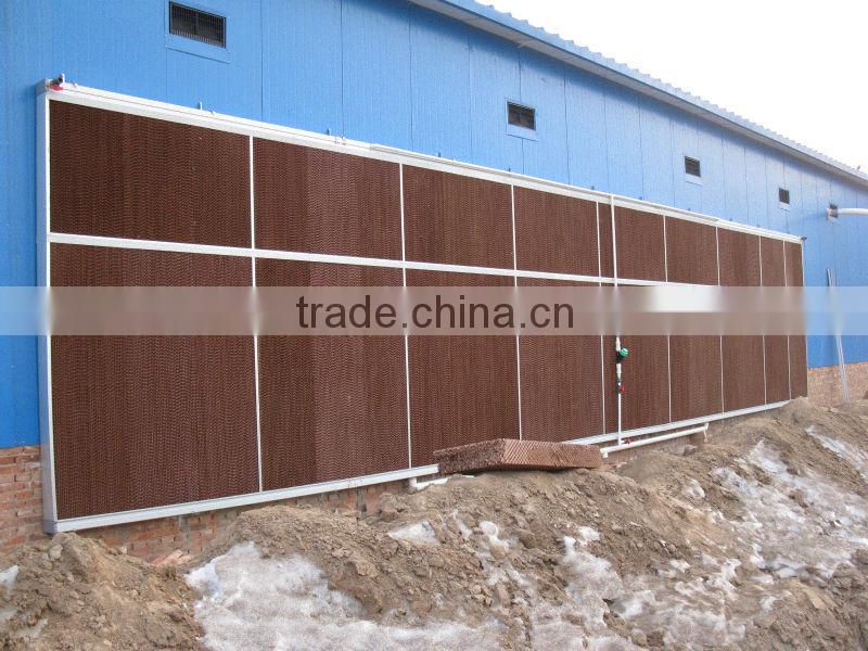 Hot sale chicken wire cage with equipment