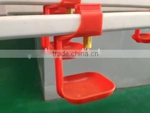 steel structure chicken house