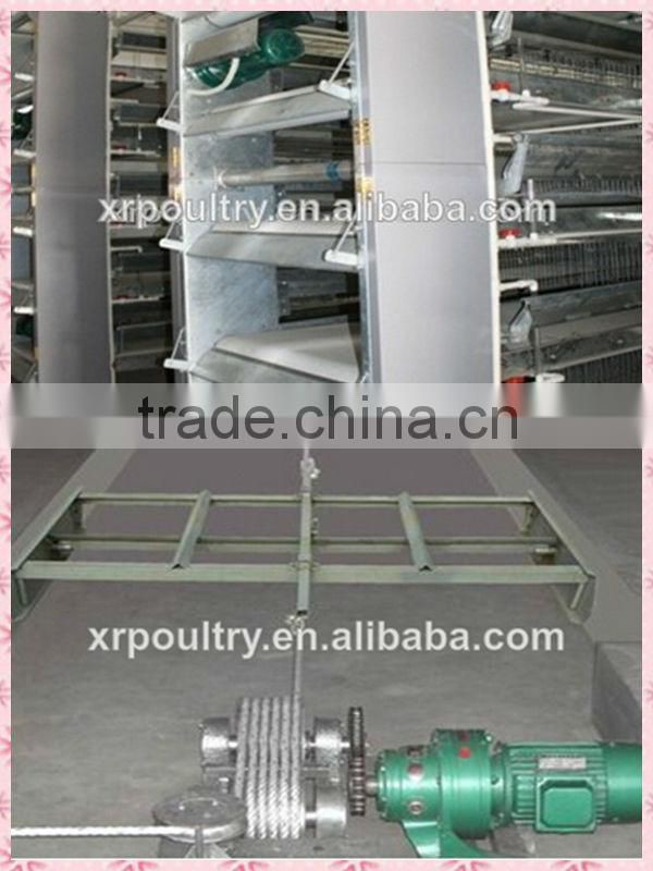 Hot sale chicken wire cage with equipment