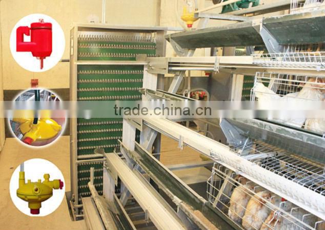 China Professional High Quality Layer Egg Chicken House