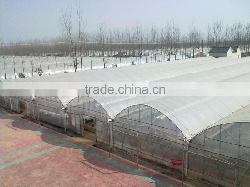 Agricultural plastic film arch greenhouse for vegetables
