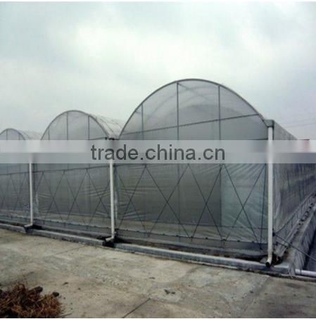 High quality plastic greenhouse film with different specification