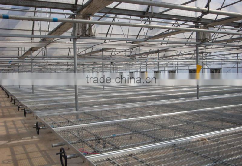 Ebb and flow seeding beds in commercial greenhouse