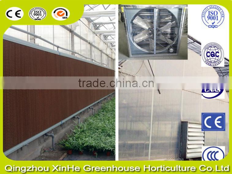 Thin Film intelligent greenhouse for planting