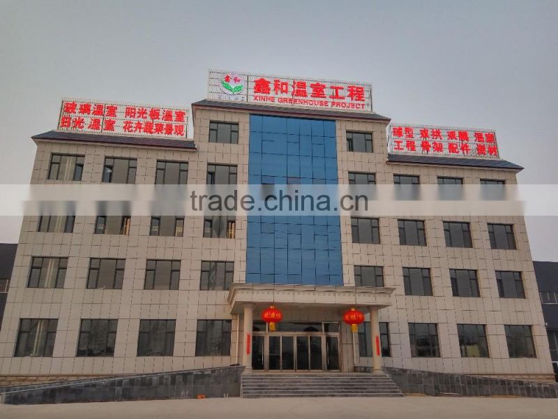 modern plastic film greenhouse with steel skeleton and hot drip galvanized bolt for vegetable and flower grow for hot sale