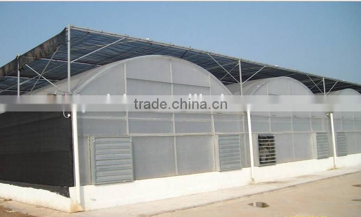 Large size film cover material agricultural greenhouses for sale