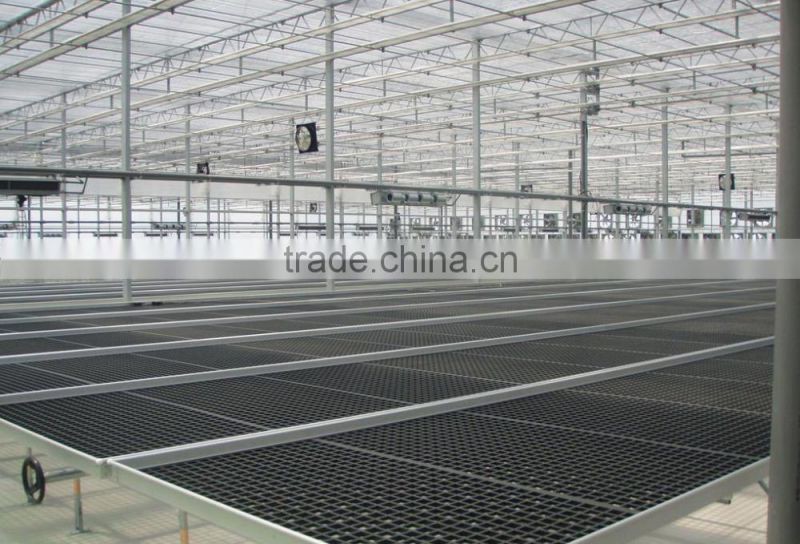 Good qulity greenhouse nursery seeding bed for sale