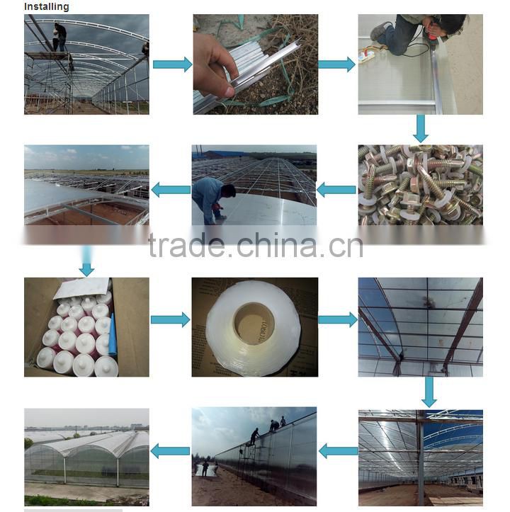 Factory cheap price film greenhouses for flowers