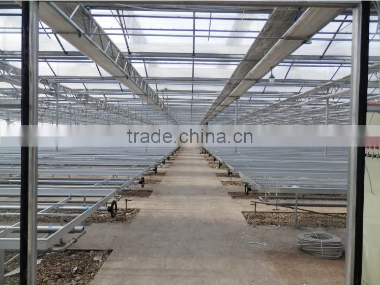 Horticultural Greenhouse Seed bench for flowers