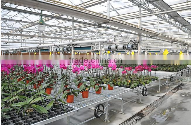 Hot sale seed bed for flowers