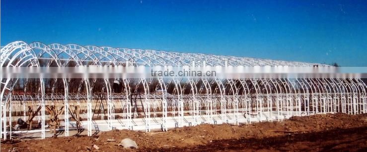 Plastic film greenhouse for livestock