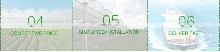 Poly Tunnel for Strawberries Tropical Greenhouse Tunnel for Sale