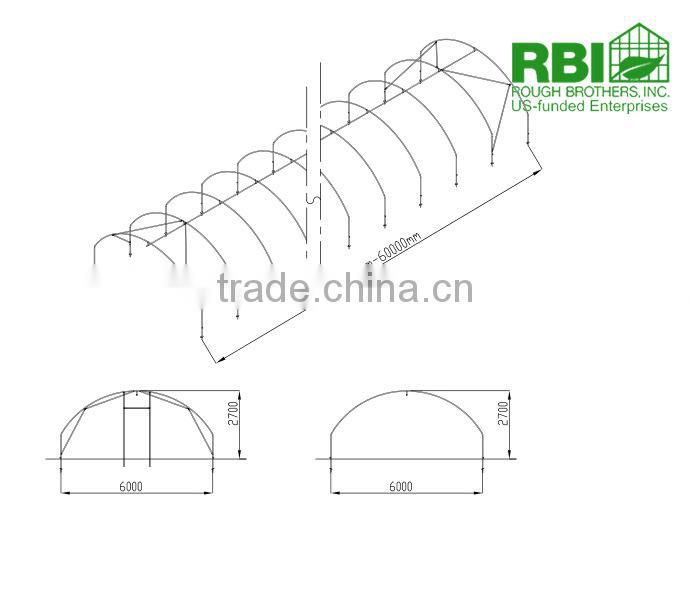 Poly Tunnel for Strawberries Tropical Greenhouse Tunnel for Sale