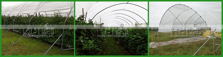 Poly Tunnel for Strawberries Tropical Greenhouse Tunnel for Sale