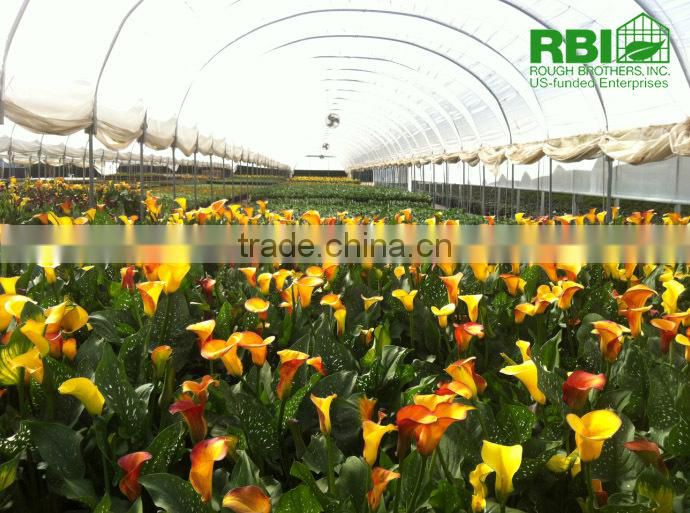 High Tunnel single or multi span galvanized steel plastic film cover low cost plant house or greenhouse for agricultural farm