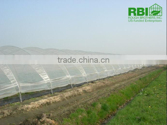 Tunnel 600 film cover low cost agricultural farming Galvanized Steel Frame green house easily assembled single or multi span