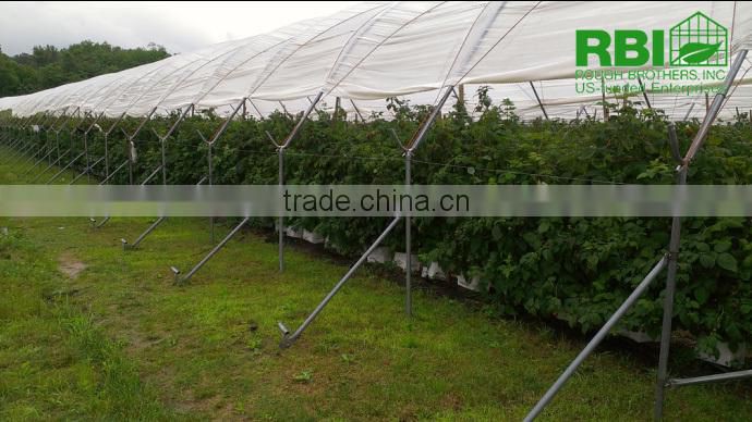 High Tunnel single or multi span galvanized steel plastic film cover low cost plant house or greenhouse for agricultural farm