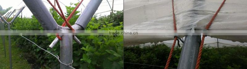 Greenhouse High Tunnel Multi-span low cost Agricultural greenhouse tunnel