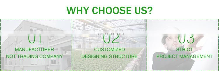 Poly Tunnel for Strawberries Tropical Greenhouse Tunnel for Sale