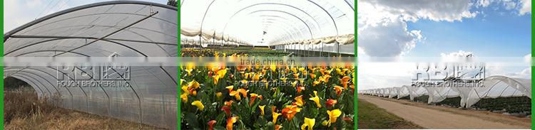 Poly Tunnel for Strawberries Tropical Greenhouse Tunnel for Sale
