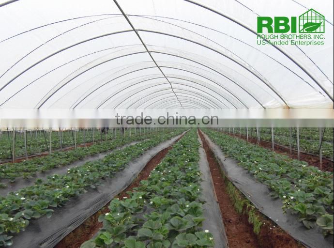 Tunnel 600 film cover low cost agricultural farming Galvanized Steel Frame green house easily assembled single or multi span