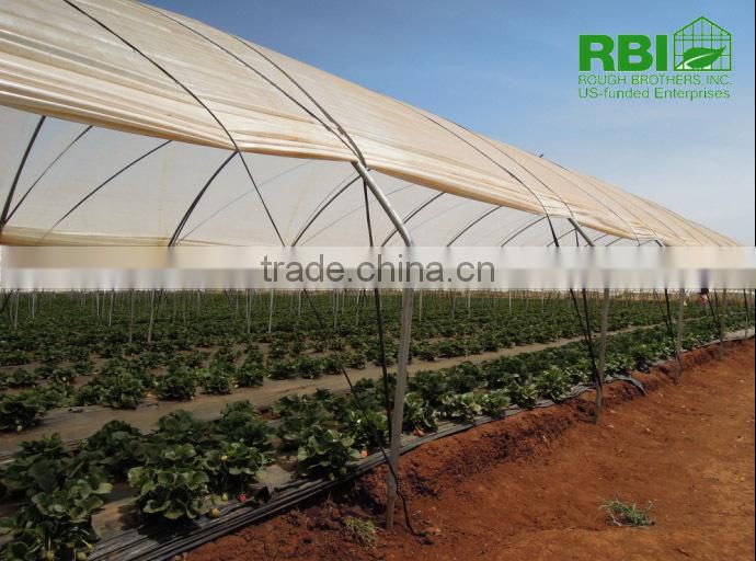 Tunnel 600 film cover low cost agricultural farming Galvanized Steel Frame green house easily assembled single or multi span
