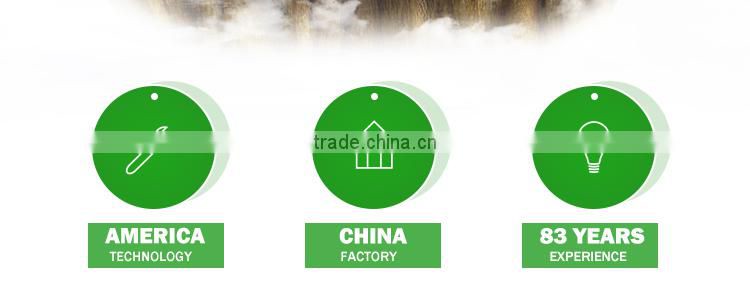 Poly Tunnel for Strawberries Tropical Greenhouse Tunnel for Sale