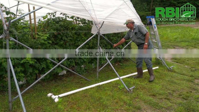 High Tunnel single or multi span galvanized steel plastic film cover low cost plant house or greenhouse for agricultural farm