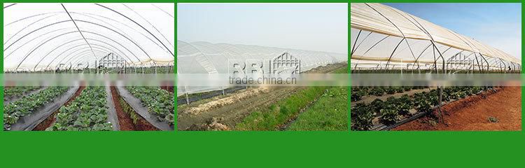 Poly Tunnel for Strawberries Tropical Greenhouse Tunnel for Sale
