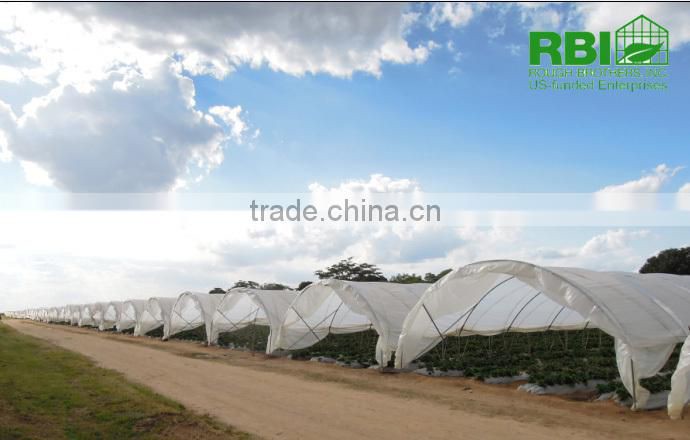 Tunnel 600 film cover low cost agricultural farming Galvanized Steel Frame green house easily assembled single or multi span