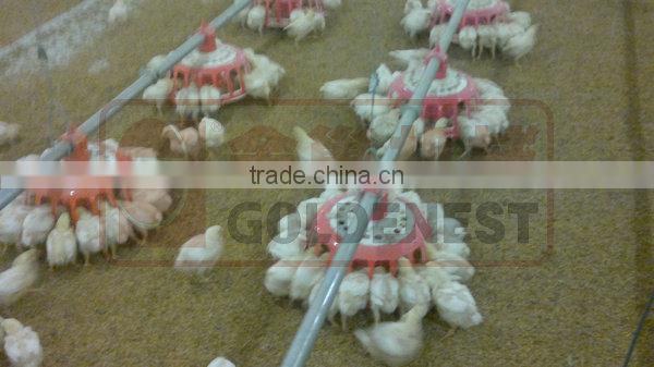 breeders pan feeder equipment