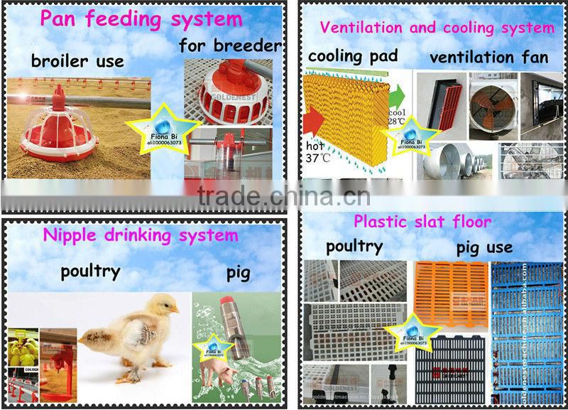 poultry farming equipment hen breeder feeder chain