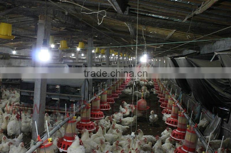 plastic feeding pan for broiler breeders | poultry breeding equiments