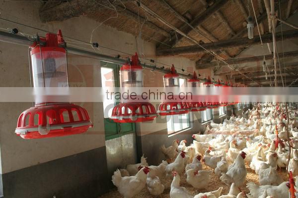 metering cylinder pan feeder of broiler breeder equiment/rooster feeding line