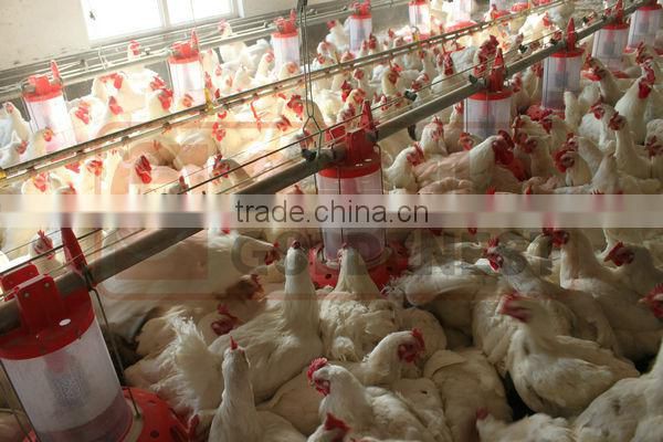 metering cylinder pan feeder of broiler breeder equiment/rooster feeding line