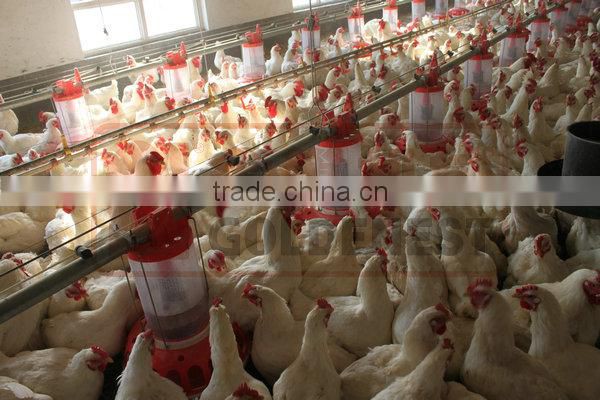 metering cylinder pan feeder of broiler breeder equiment/rooster feeding line