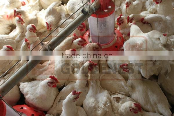 metering cylinder pan feeder of broiler breeder equiment/rooster feeding line