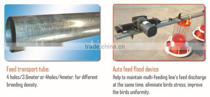 automatic poultry chicken farming equipment / system