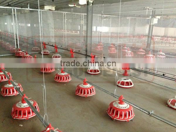 automatic poultry chicken farming equipment / system