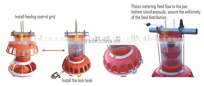 automatic poultry chicken farming equipment / system