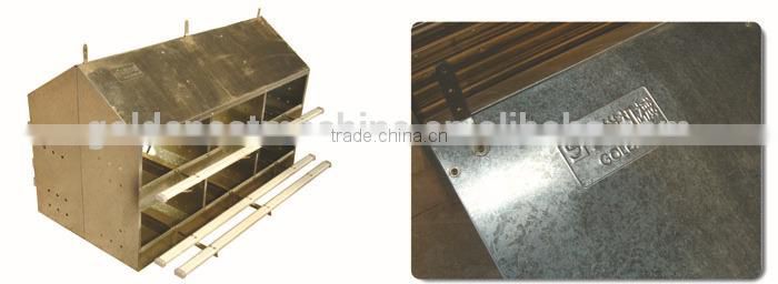 automatic poultry chicken farming equipment / system