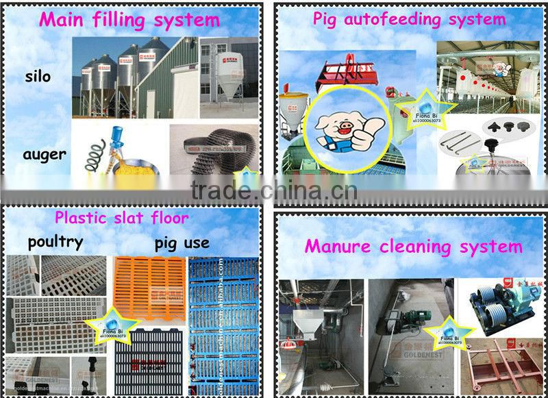 poultry farming equipment hen breeder feeder chain