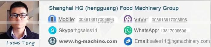 HG-PC500 compound potato chips frying machine