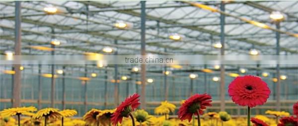 greenhouse 2016 hot export from shuiwang