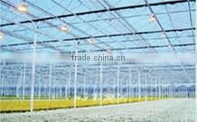 greenhouse 2016 hot export from shuiwang