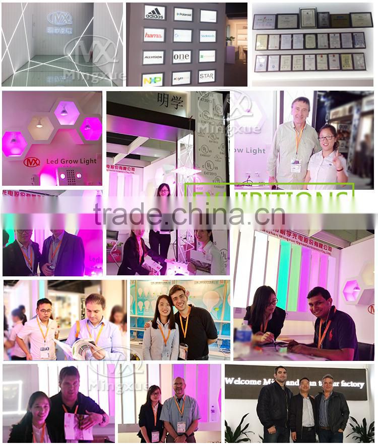 1200W Led Plant Light For Indoor Plants 5W LED