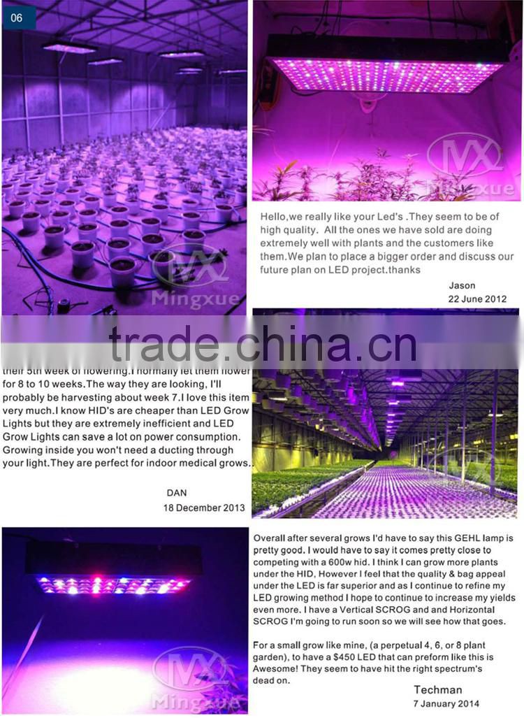 1200W Led Plant Light For Indoor Plants 5W LED